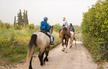 Horse Riding in Nafplio