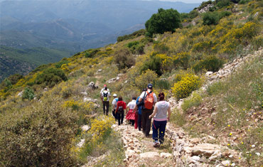 Hiking Tour in Nafplio